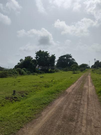 Jaswant Nagar, Shramik Nagar Plot View 1