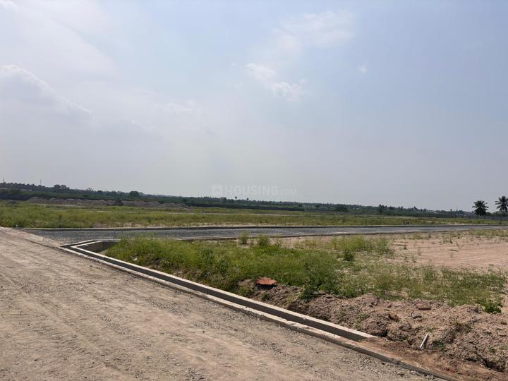Karamadai Main Image 1