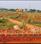 Patrapada Main Image 1