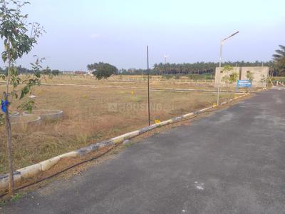 Venus Garden Plot View 2