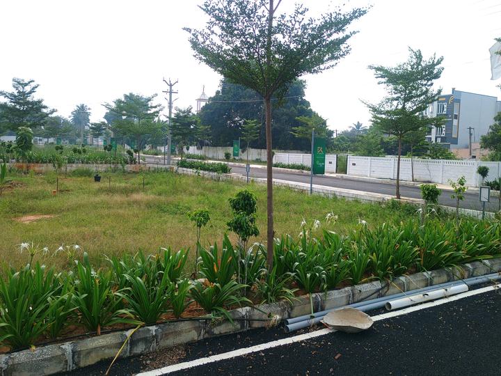 Thirumazhisai Main Image 1