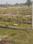 Smap Palm Residency Main Image 1