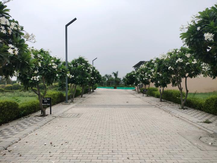 Mansha Oaks Main Image 1