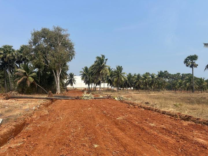 Sagarika Beach View Main Image 1
