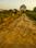 Sevai Avadh Vihar Main Image 1