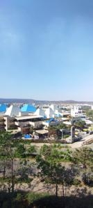 Image of 972 Sq.ft 2.5 BHK Apartment / Flat for rent in Nanded Asawari, Nanded, Pune for Rs. 25000