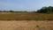 Mhasrul Gaon Plot View 2