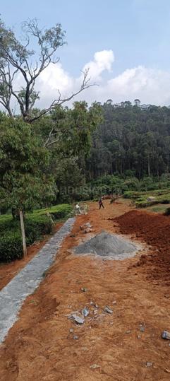 Yercaud Main Image 1