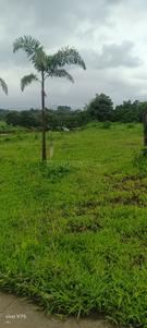Image of 2174 Sq.ft Residential Plot / Land for sale in Karjat, Thane for Rs. 3261000