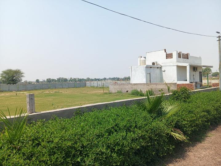 The Vanshivat Farms Main Image 1