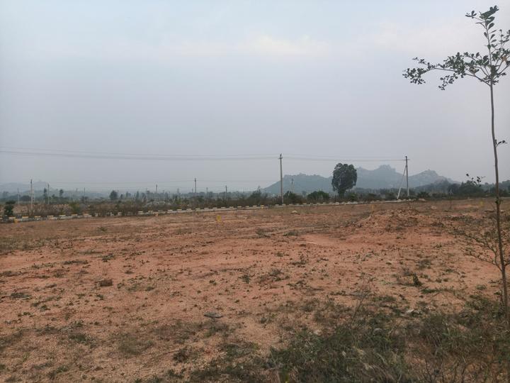 Fortune 18 3 LP Main Image 1