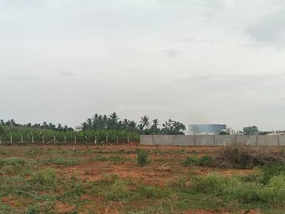 Image of 14380 Sq.ft Residential Plot / Land for sale in Kalapatti, Coimbatore for Rs. 49517000
