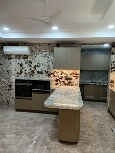 Hall Image of 7200 Sq.ft 4 BHK Builder Floor for sale in Panchsheel Park New Delhi for Rs. 300000000