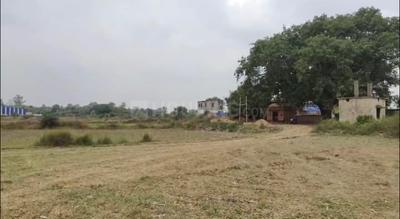 Danapur Plot View 1