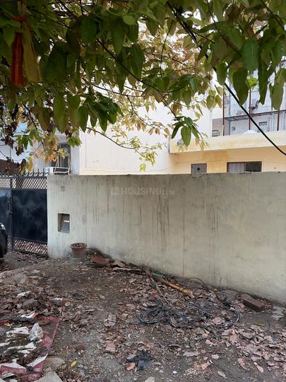 Sector 31 Main Image 1