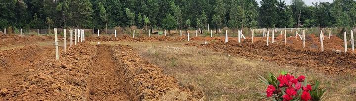 Lankela Palem Main Image 1
