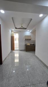 Hall Image of 1600 Sq.ft 2 BHK Independent House for rent in Model Town Panipat for Rs. 16500