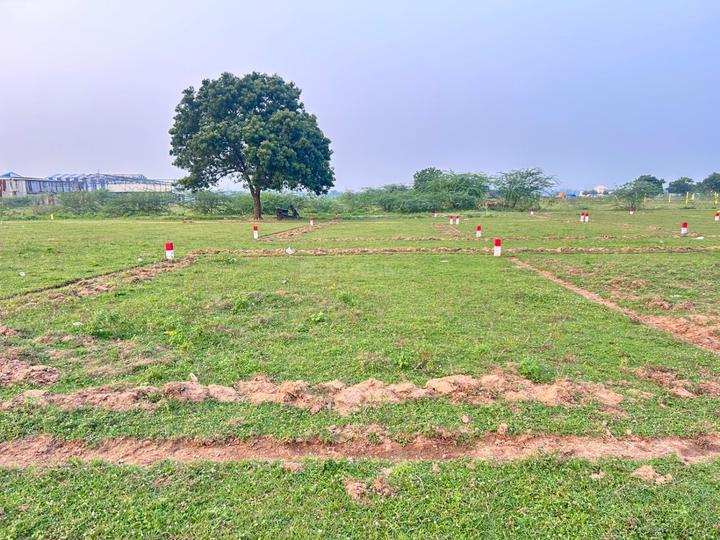 Padappai Main Image 1