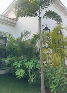 Building Image of 4800 Sq.ft 4 BHK Independent House for sale in Verla Canca Goa for Rs. 157500000