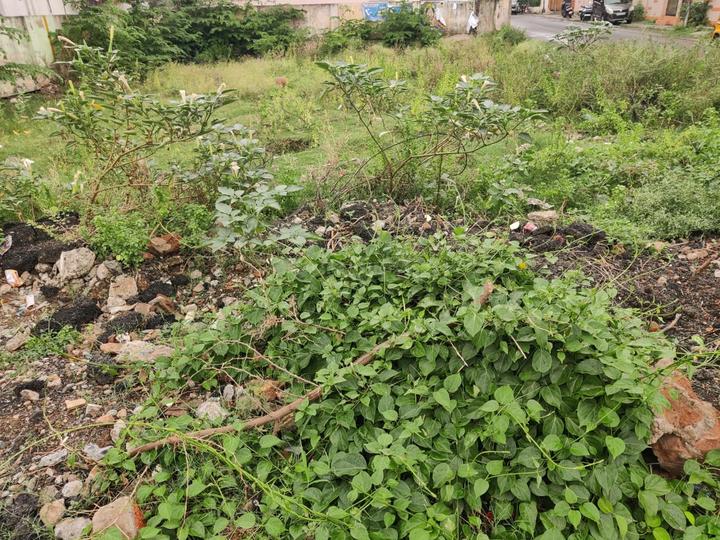 Venkataraman Nagar, Korattur Main Image 1