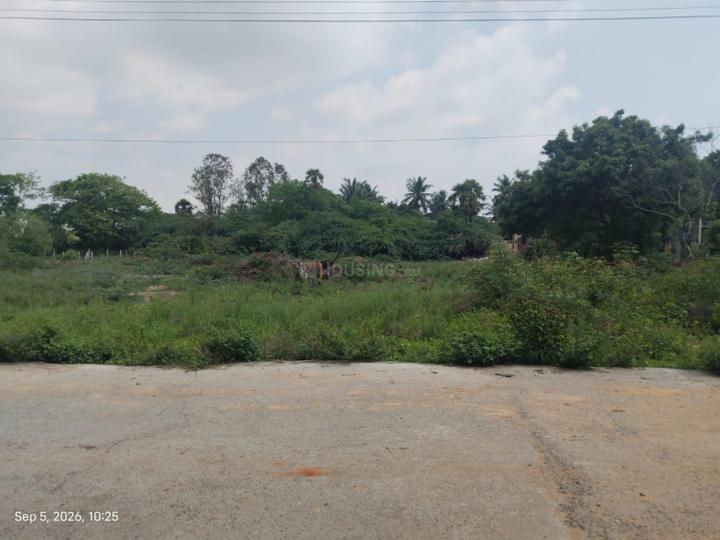 Paiyanur Main Image 1