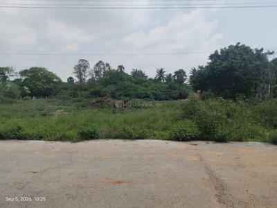 Residential Plot
