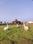 DIVIJA Developers Main Image 1