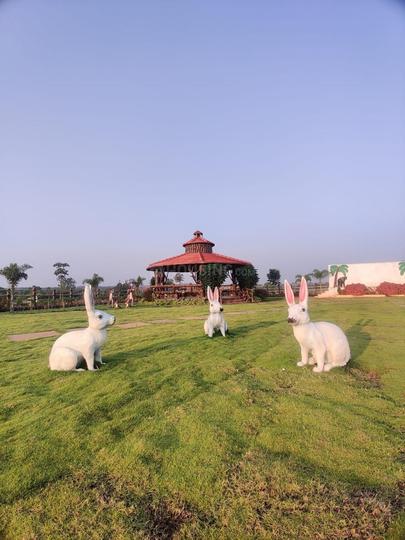 DIVIJA Developers Main Image 1