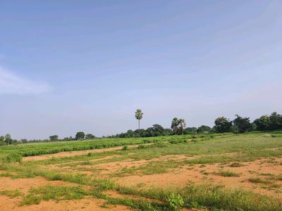 Image of 184 Sq.ft Residential Plot / Land for sale in Alair, Yadadri Bhuvanagiri for Rs. 1800031