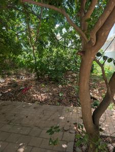 Image of 2400 Sq.ft Residential Plot / Land for sale in Yelahanka, Bengaluru for Rs. 55200000