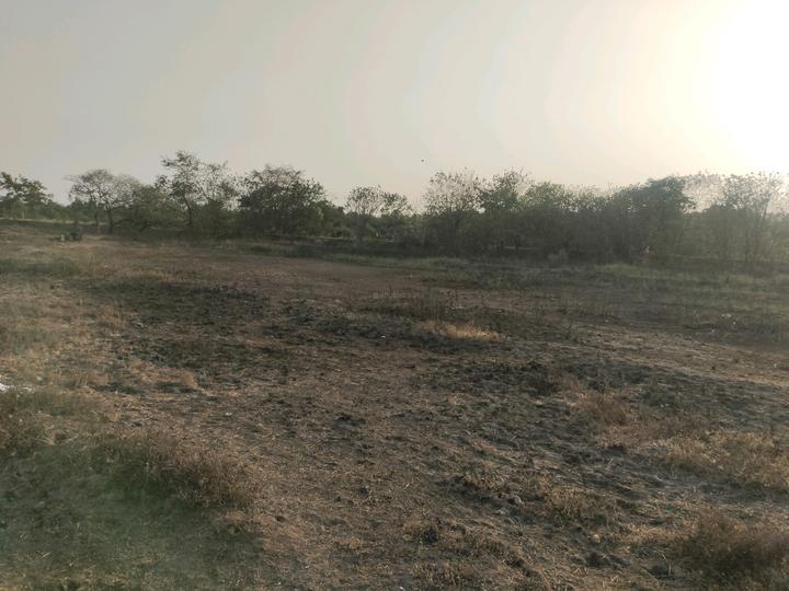 Chirner Main Image 1