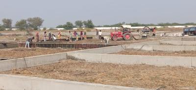 Image of 442 Sq.ft Residential Plot / Land for sale in Dholera, Ahmedabad for Rs. 4442000
