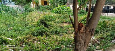 Image of 1800 Sq.ft Residential Plot / Land for sale in New Garia, Kolkata for Rs. 9200000