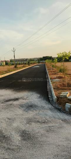 Landlord Auric Nest Main Image 1