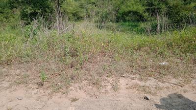 Image of 3000 Sq.ft Residential Plot / Land for sale in Lonikand, Pune for Rs. 10500000