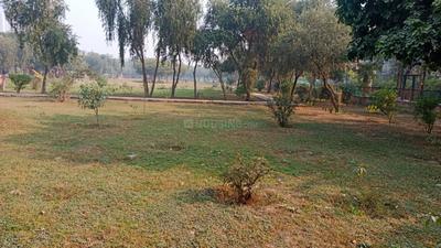 Block C Plot View 2