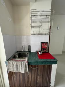 Kitchen Image of 746 Sq.ft 2 BHK Apartment / Flat for rent in Adani Aangan, Sector 89A Gurgaon for Rs. 20000