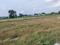 Dasna Plot View 1