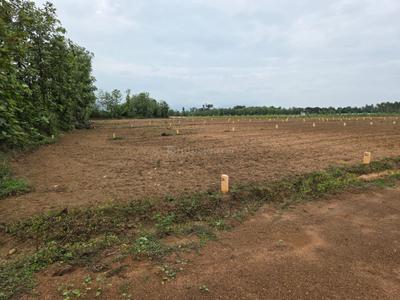 Image of 100 Sq.ft Residential Plot / Land for sale in Gajapatinagaram, Vizianagaram for Rs. 550000