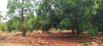 Residential Plot