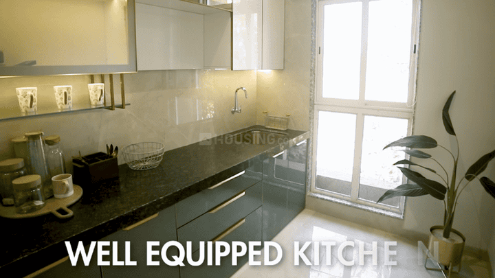 Codename Montana Main Image 1