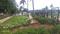 Reozone Wilderwoods Main Image 1