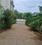 Maharani Avenue, Vadavalli Main Image 1