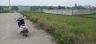 Image of 3029 Sq.ft Residential Plot / Land for sale in Peerumadara, Nainital for Rs. 4200000