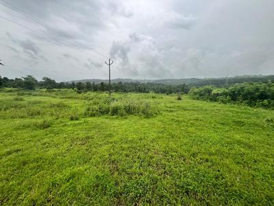 Bherav Plot View 1
