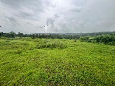 Image of 1089 Sq.ft Residential Plot / Land for sale in Warasgaon, Raigad for Rs. 210000