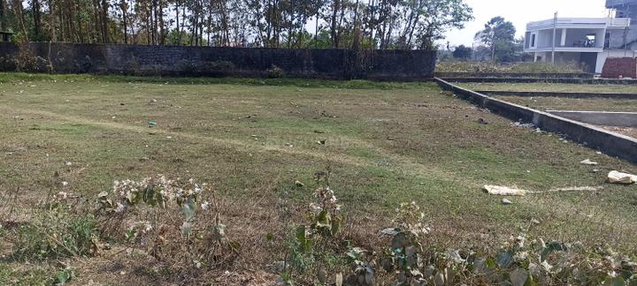Patharghata Main Image 1