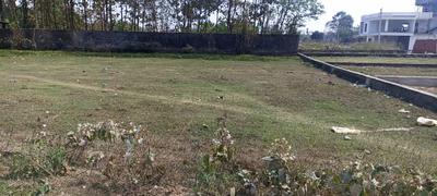 Patharghata Plot View 1