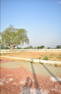 Golden City Plot View 1