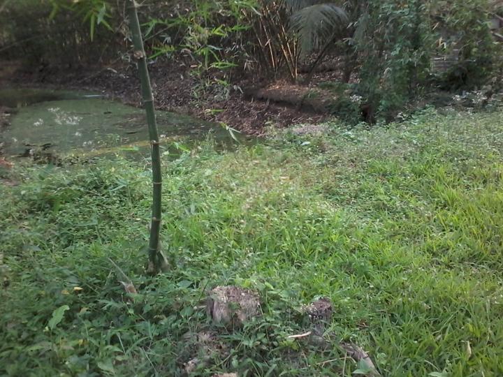 Nizampur Main Image 1